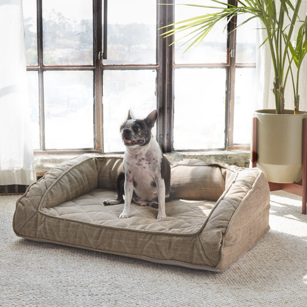 non toxic dog bed from brentwood home