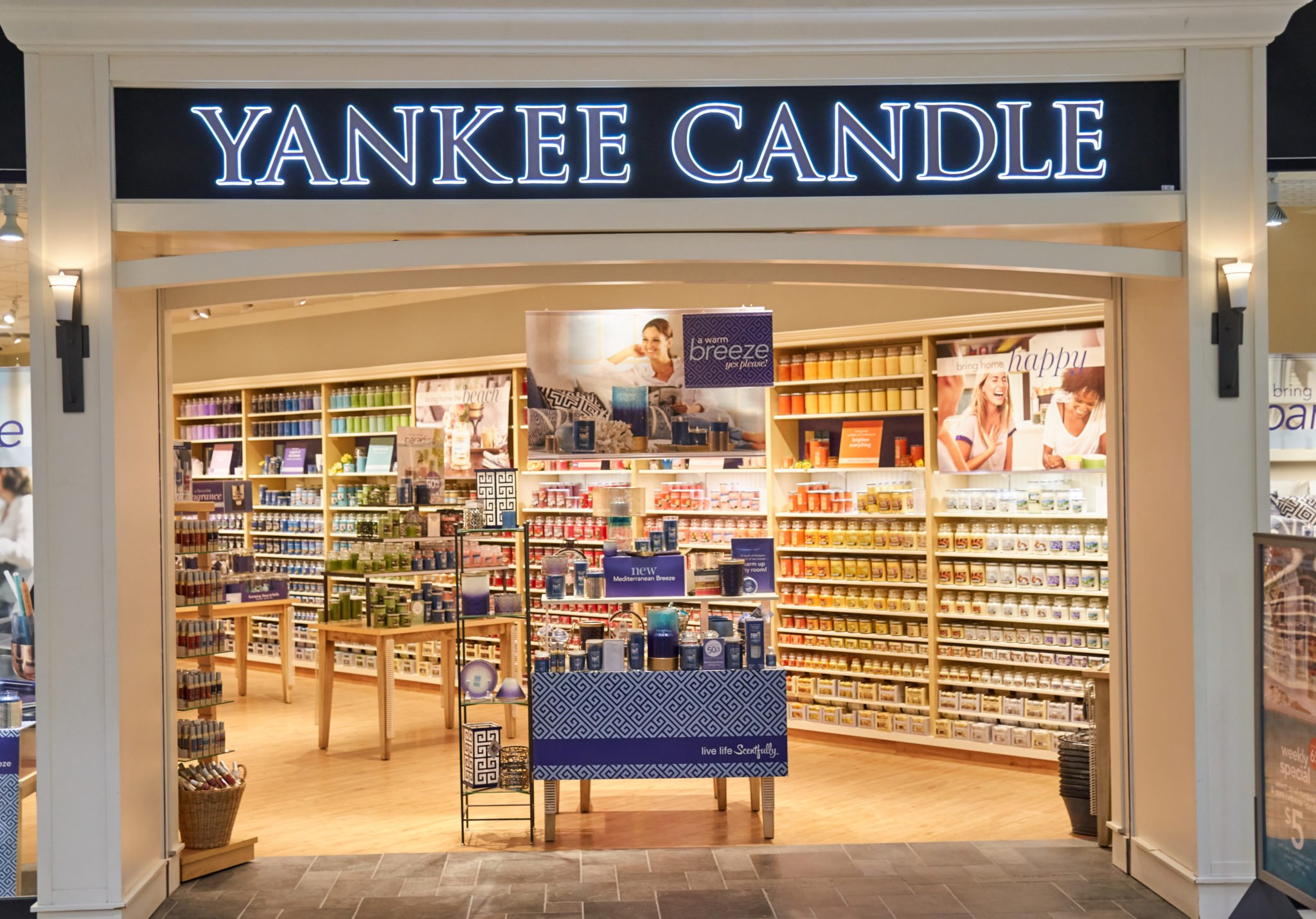 Are Yankee Candles Toxic (for Dogs, Cats, & Humans)? The Filtery