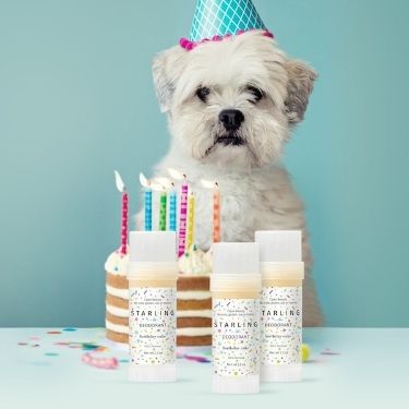 Three sticks of Starling's organic birthday cake-scented deodorant are on a table in front of a layered cake with colorful candles. A white dog is wearing a blue birthday hat looking at the camera.