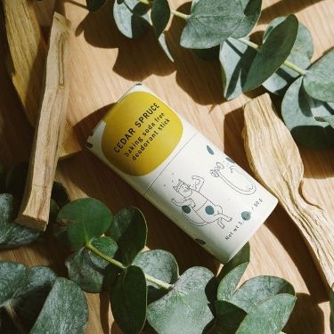 A flatlay of a Meow Meow Tweet's Cedar Spruce scented organic deodorant stick on top of cedar wood and green leaves.