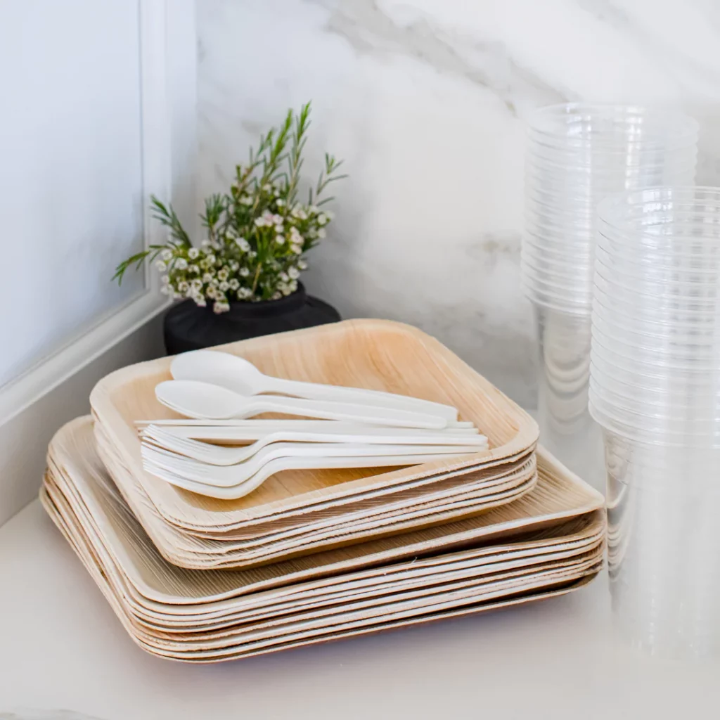 disposable non toxic outdoor dinnerware from eco soul