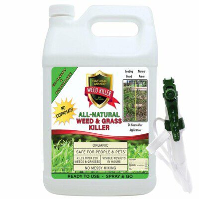 Best Non-Toxic Weed Killers: Organic, Eco-Friendly, & Safe