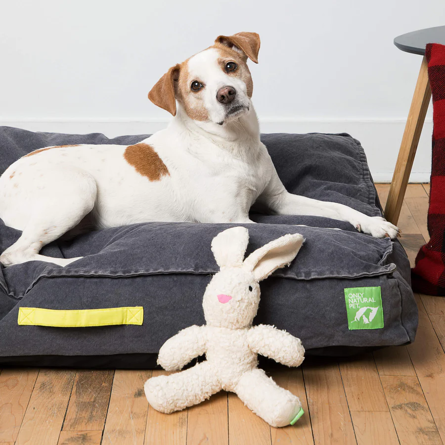 organic dog bed from only natural pet