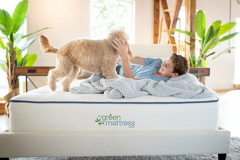 The Best NonToxic & Organic Kids Mattress Brands for 2024 The Filtery