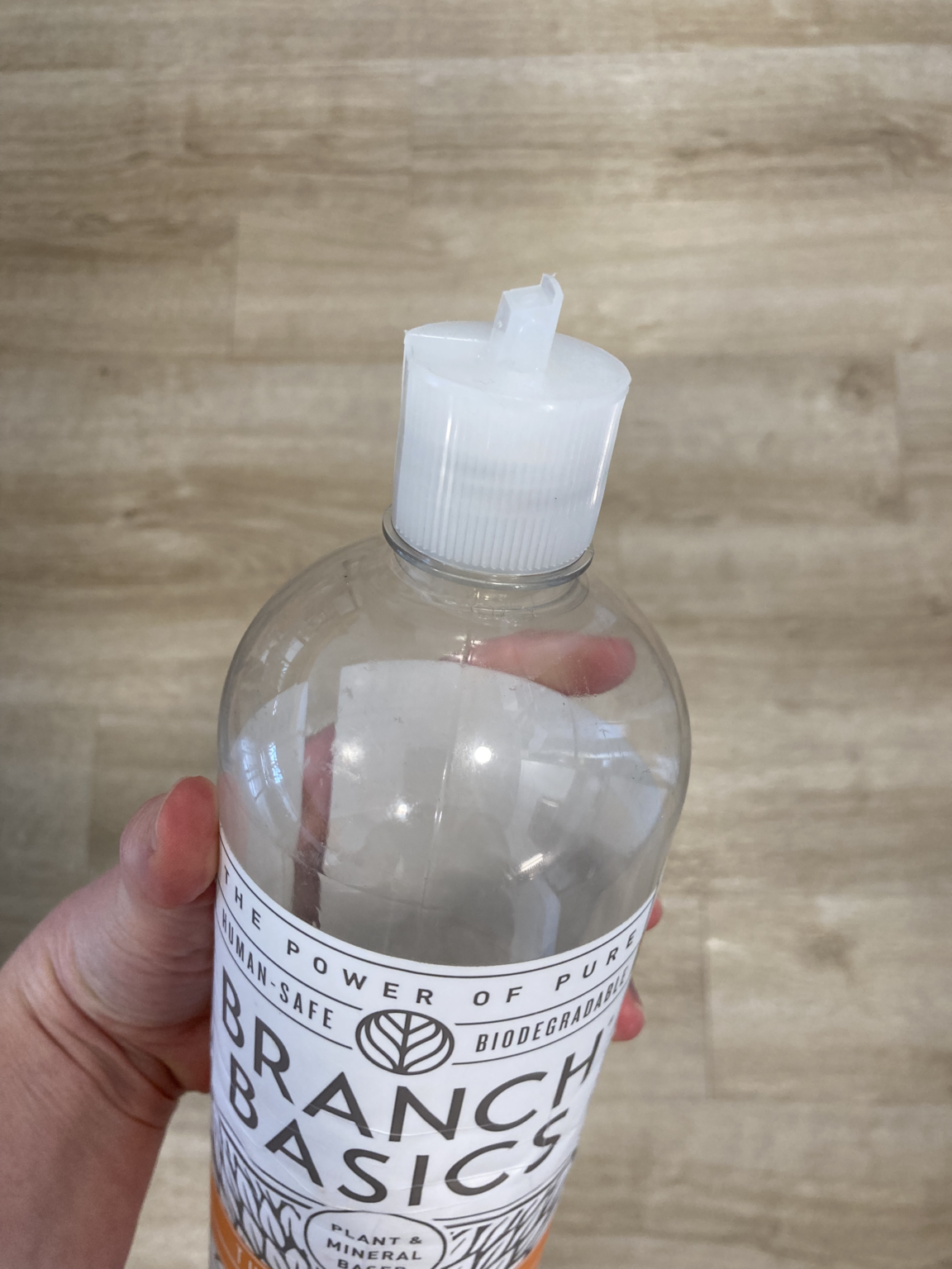 Is Branch Basics Really Safe? (& An Honest Review) The Filtery