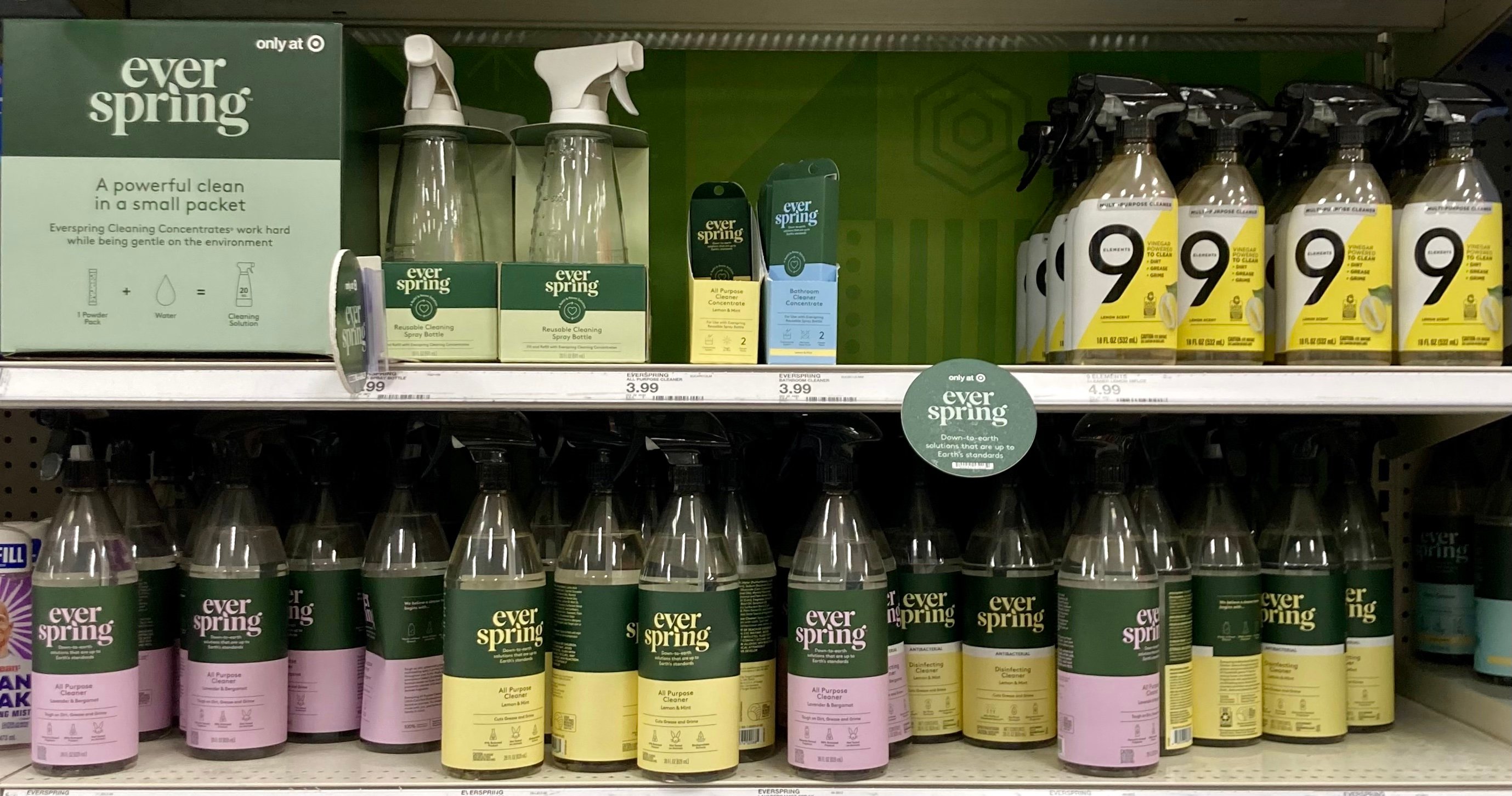 Is Everspring Actually NonToxic? The Filtery