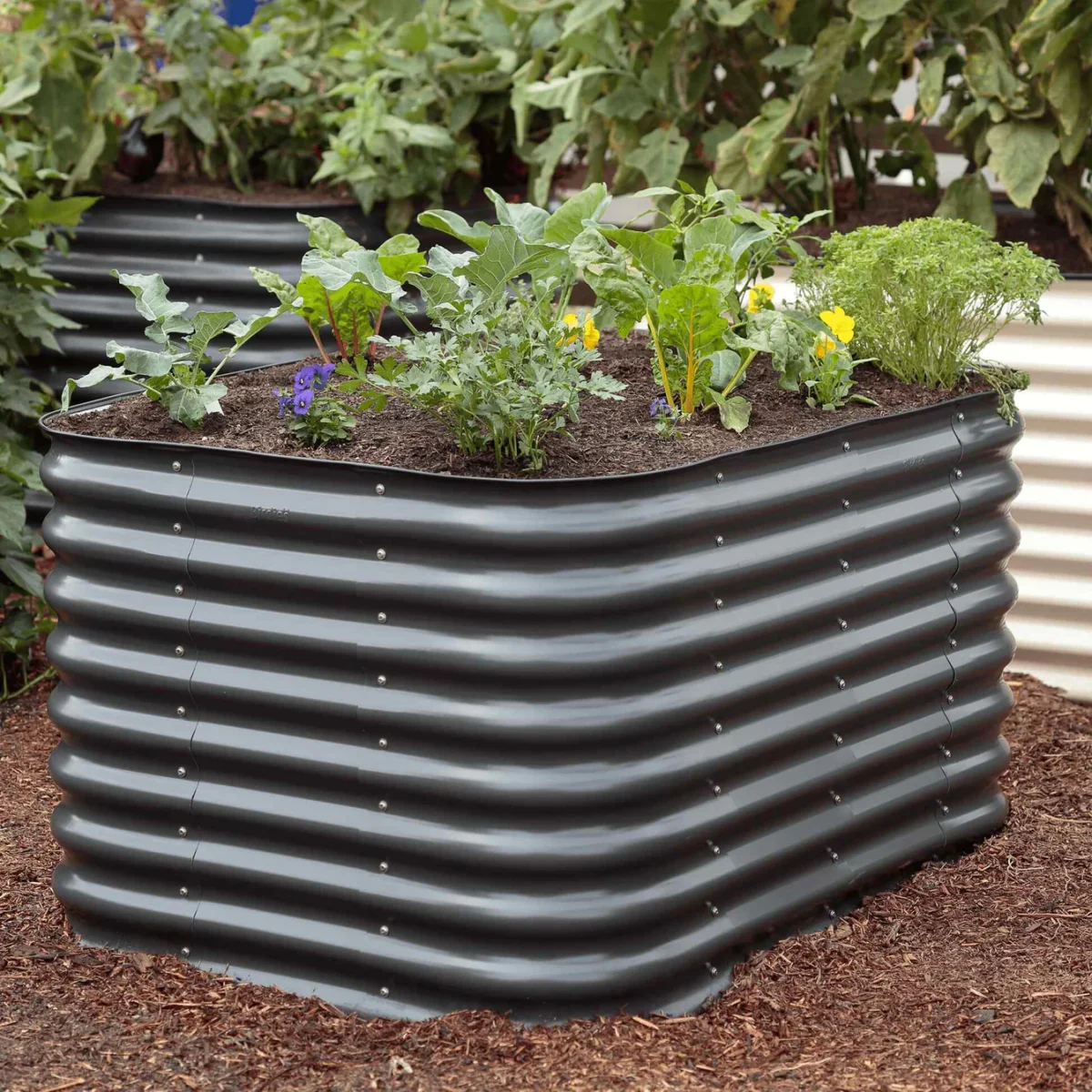 a garden bed with plants made of aluzinc steel and USDA-approved paint from Epic Gardening