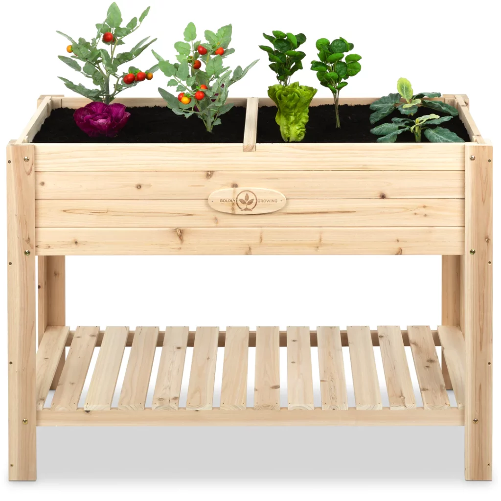 non toxic container garden options