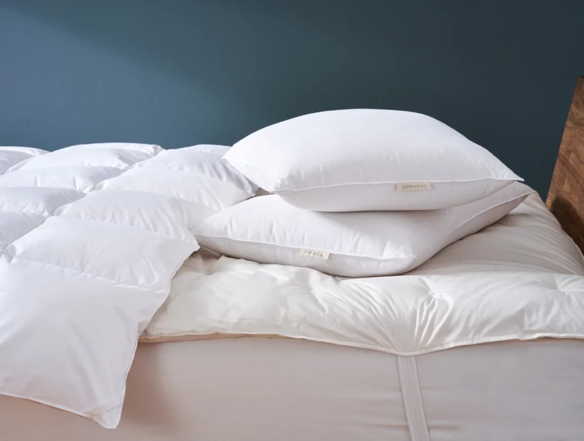 best organic non-toxic pillows from coyuchi