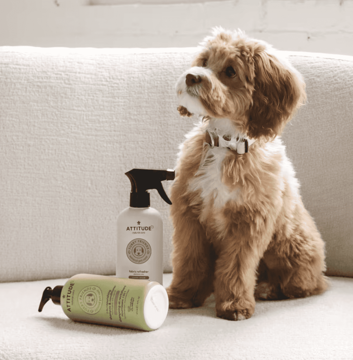 7 Febreze Alternatives! NonToxic Air Fresheners & Organic Room Sprays