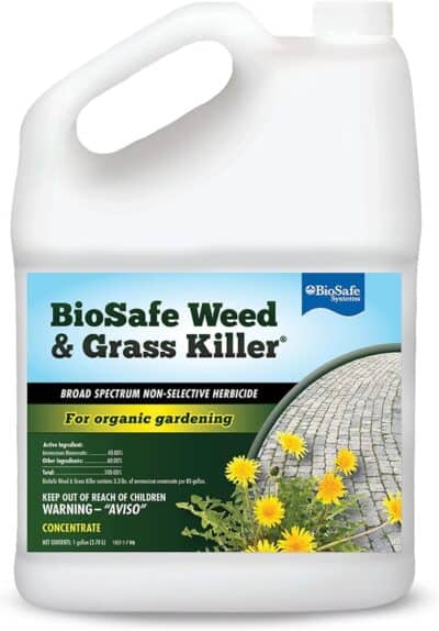 Best Non-Toxic Weed Killers: Organic, Eco-Friendly, & Safe
