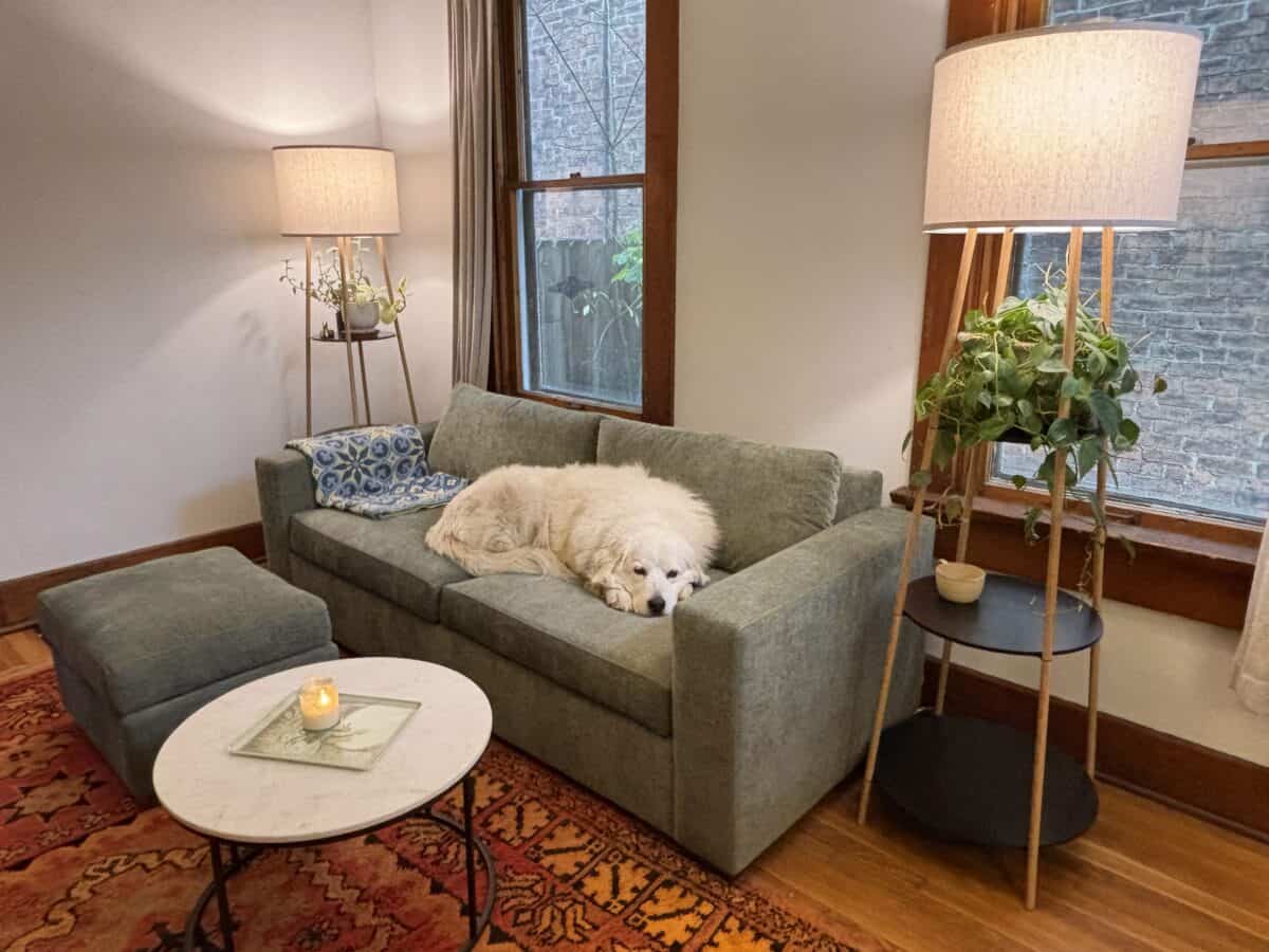 a white dog on the gray Rio Sofa from Medley with a lamp in the corner and a white round table with a scented candle on it