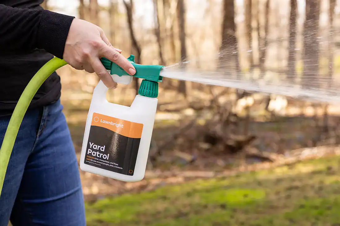 Person spraying Lawnbright Yard Patrol insect control solution with a hose attachment in a backyard.