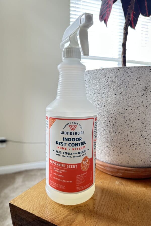 A bottle of Wondercide Indoor Pest Control spray in peppermint scent sits on a wooden table next to a potted plant in a sunlit room.