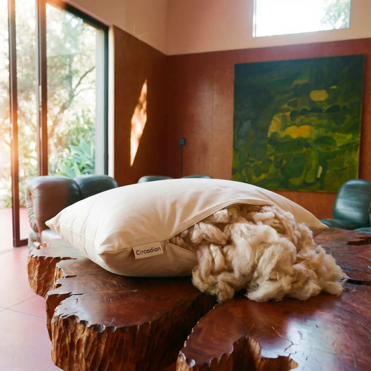 The photo shows a white Circadian pillow with its natural, wool-like stuffing spilling out onto a rustic, live-edge wooden table in a sunlit room.