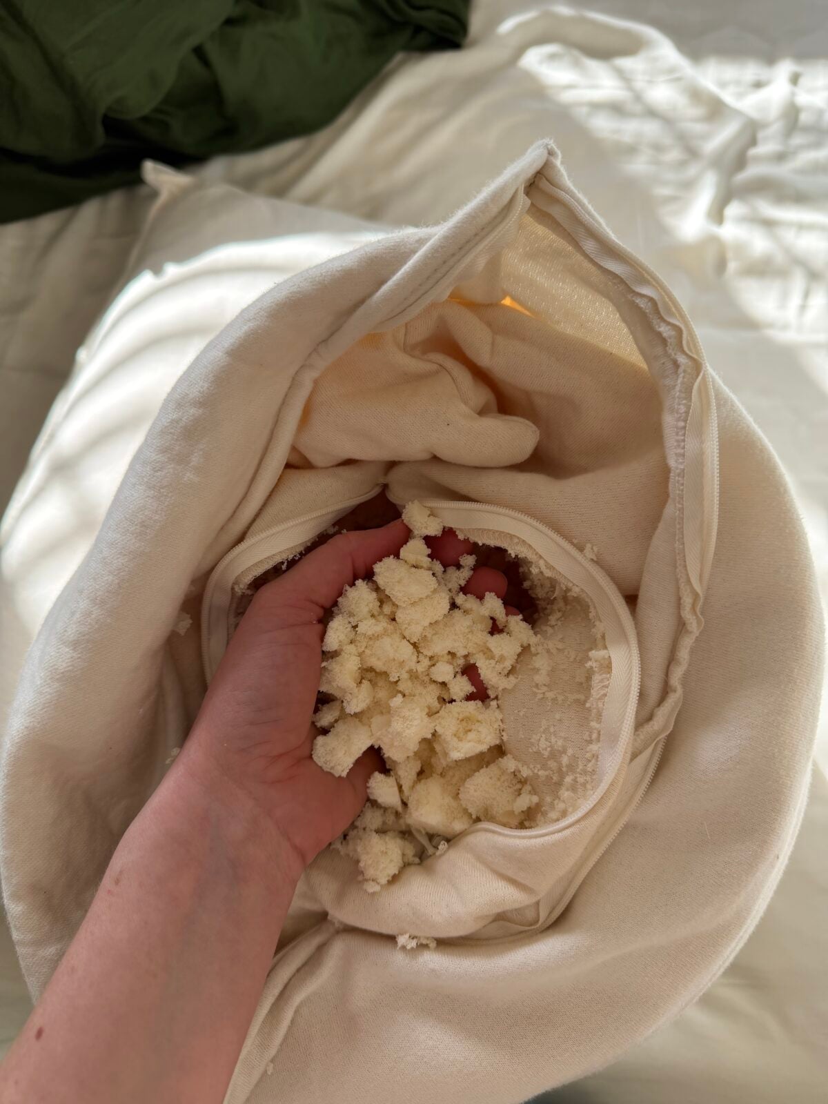 Hand holding organic latex foam filling from inside an Obasan pillow with unzipped cotton cover