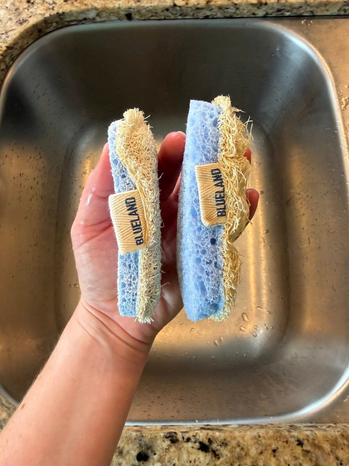 A hand holds two blue sponges labeled “BLUELAND” over a kitchen sink. The sponge on the left appears worn, while the one on the right looks new. Both sponges show a loofah side and a scrubbing side.