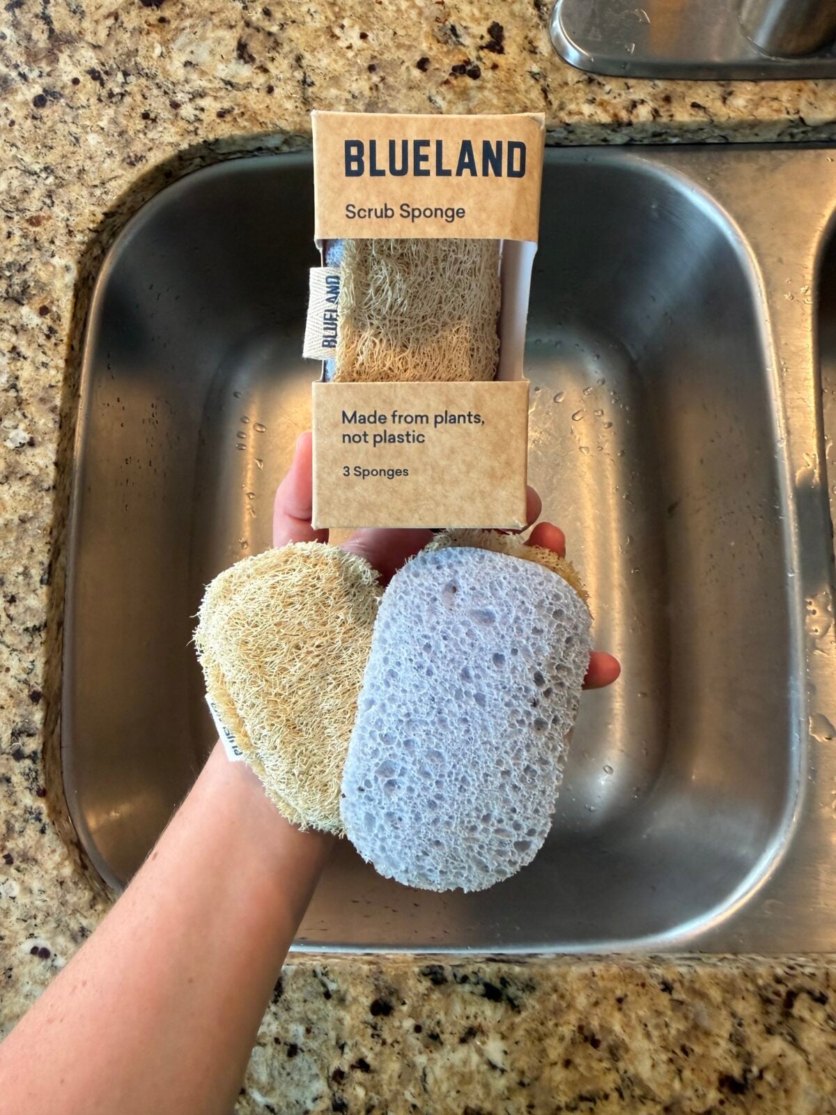 A hand holds two scrub sponges, one tan and one light gray, above a sink. Packaging labeled “Blueland Scrub Sponge” says “Made from plants, not plastic.” The sink and granite countertop are visible.