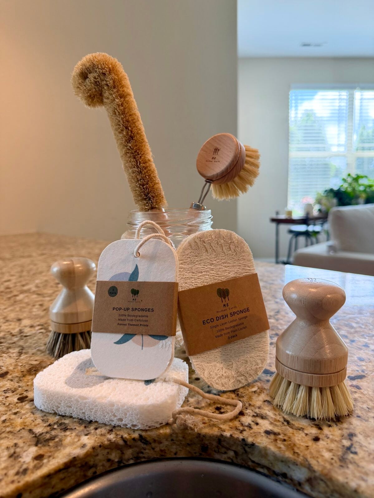A collection of eco-friendly dishwashing brushes and sponges arranged on a kitchen counter near a window. Items include wooden brushes, a jar holding a scrubber, and labeled compostable sponges.