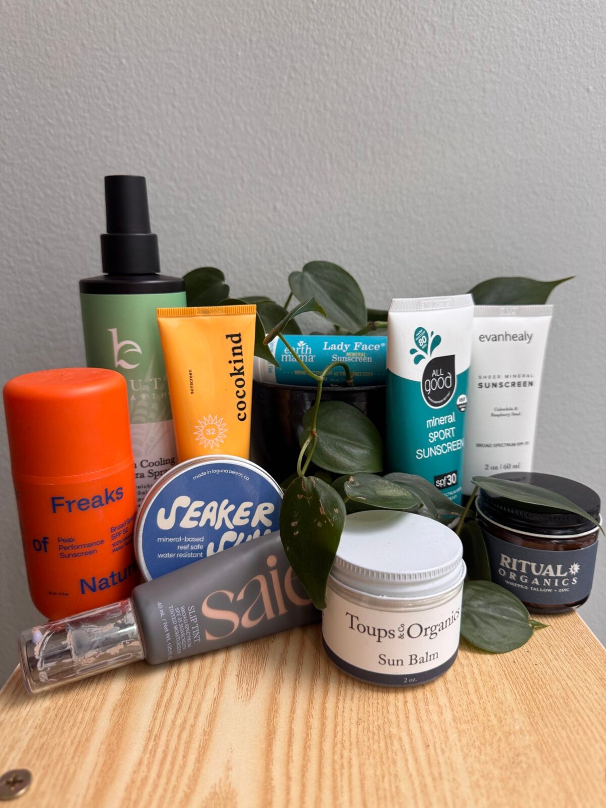 A group of skincare products, including bottles, tubes, and jars, arranged in front of a leafy green plant on a flat surface with a plain gray wall in the background.