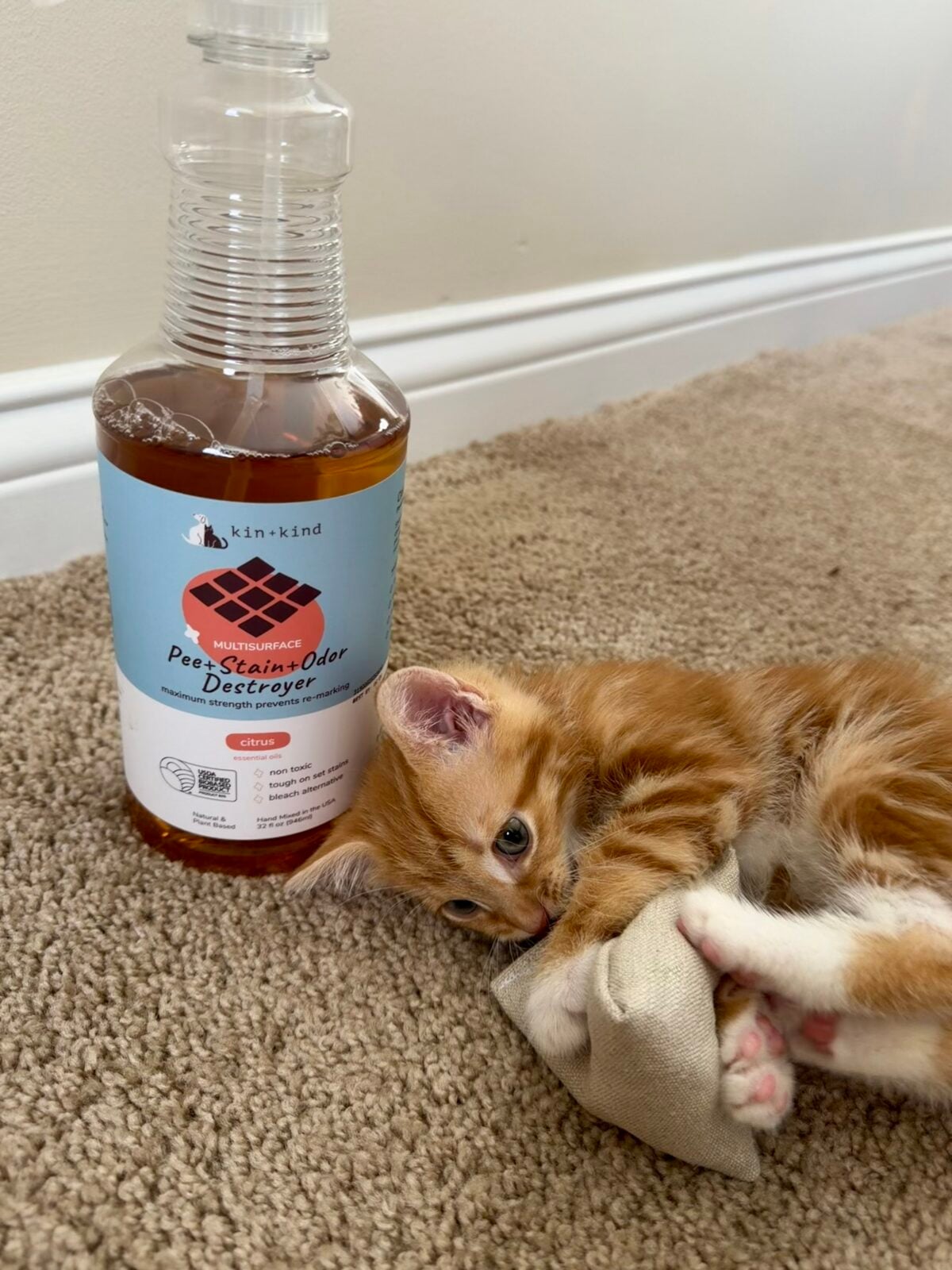 An orange kitten lies on a carpet next to a bottle of pet stain and odor remover. The kitten is playing with a piece of fabric and looking toward the camera. The bottle label is mostly blue and white.