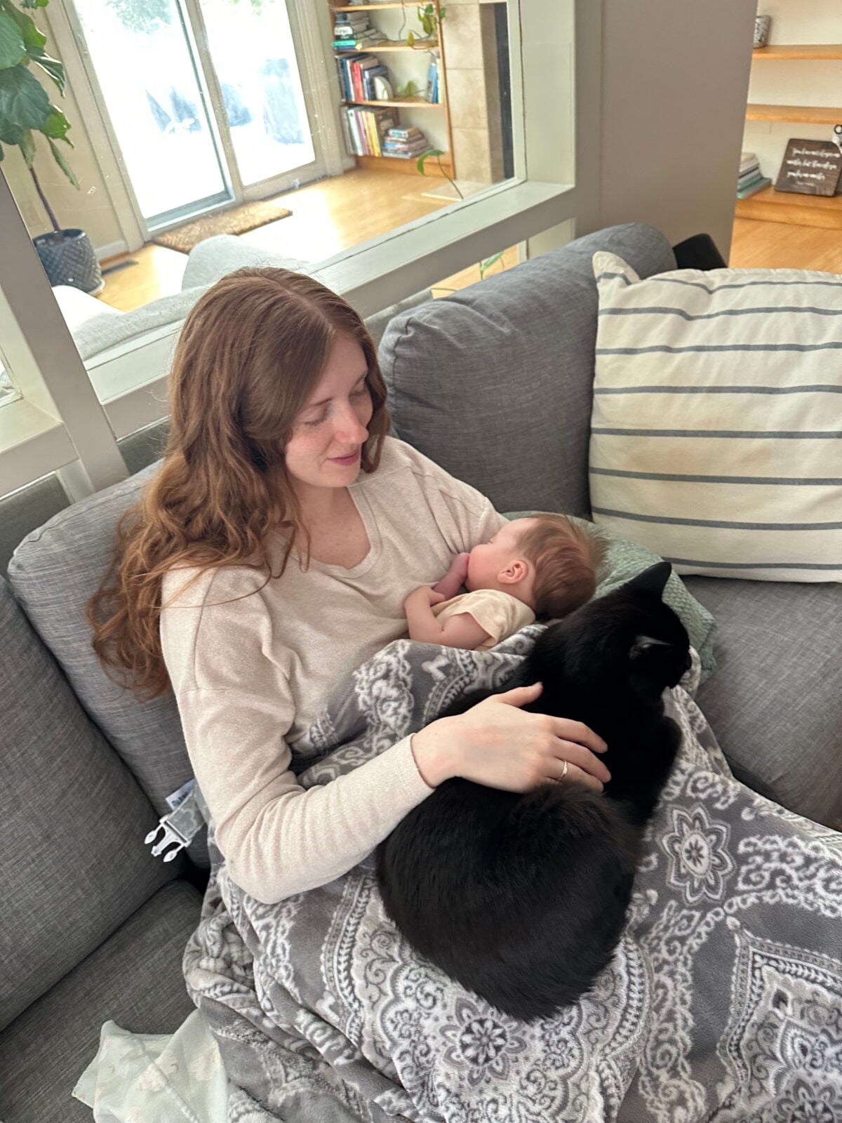 A woman sits on a gray couch breastfeeding a baby. A black cat rests on her lap, and a patterned blanket covers her legs. The background shows a bookshelf and large windows with sunlight coming in.